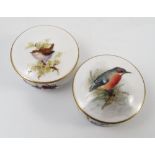 Two Royal Worcester circular covered boxes, hand painted with a Kingfisher and Wren to the covers,