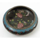 A shallow cloisonne bowl, decorated with flowers, diameter 5.