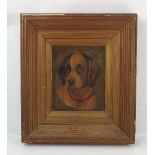 A 19th century school, oil on canvas, portrait of a hound, 12ins x 9.