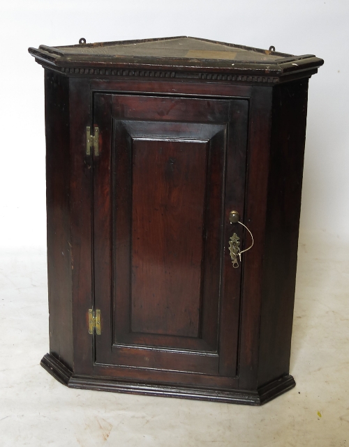 A 19th century oak corner cupboard, with fielded panelled door below the dentil cornice,