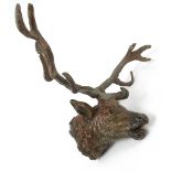A cold painted lead model, of a stag's head with antlers, 3.5ins x 5.