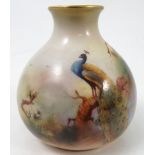 A Royal Worcester vase, decorated with a peacock in pine tree, shape number 2491, dated 1906,