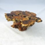 A modern Sierra Buckeye burr walnut occasional table, with a shaped, heavily lacquered top,