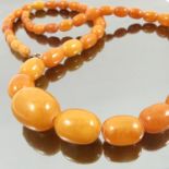 A graduated row of amber beads, the oval heads to a bolt ring clasp, length 79.