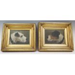 A Pair of Dog Portraits, oil on canvas, 19th Century English School, 20 x 14 cm, in gilt glazed