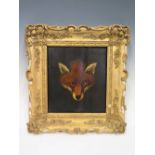 The Fox, oil on board, 19th Century Continental School, 24 x 22 cm, in gilt gesso frame