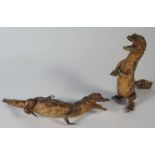 PAIR OF TAXIDERMY BABY ALLIGATORS