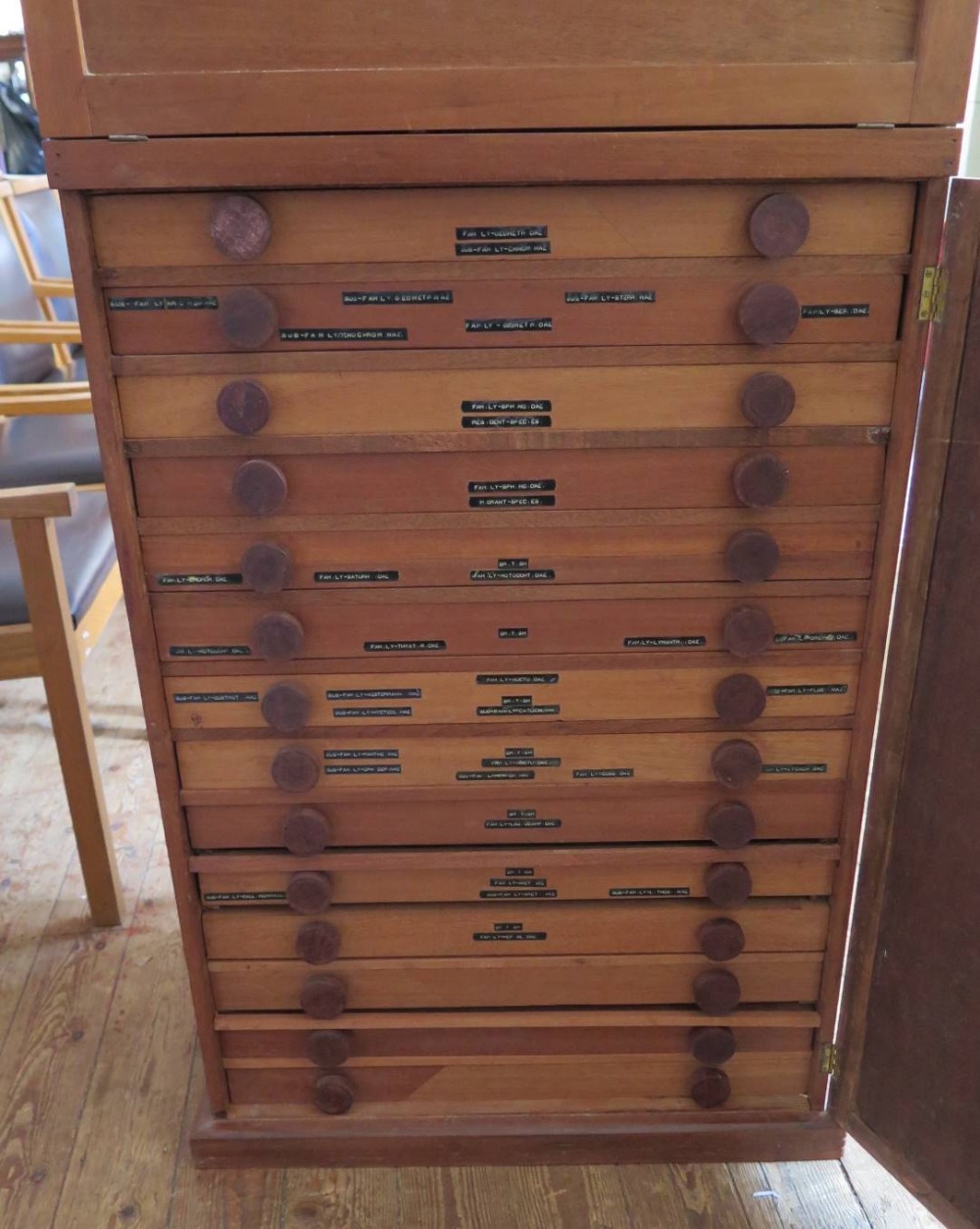 A Collection of Butterflies arranged in fourteen drawers with cupboard over - Image 2 of 14