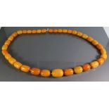 A Large Amber Bead Necklace, 147.7g, largest bead c. 32mm long