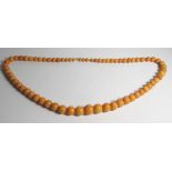 A Large Amber Bead Necklace, 84.6g