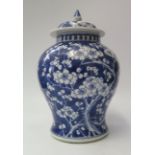 A Chinese Nineteenth Century Porcelain Blue and White Prunus Vase with cover, 32cm, A/F