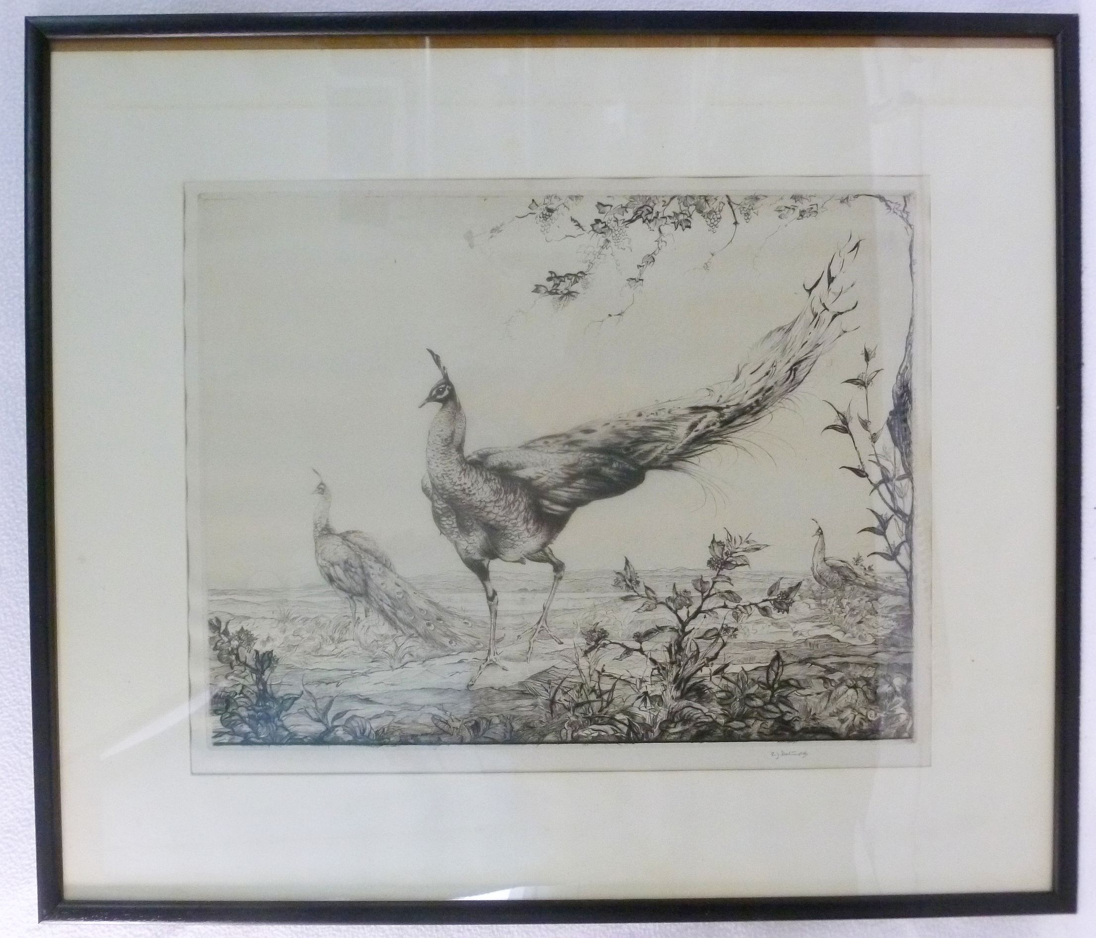 Edward Julius Detmold (1883-1957), Peacocks with sun setting over hills in the distance, etching, - Image 2 of 2