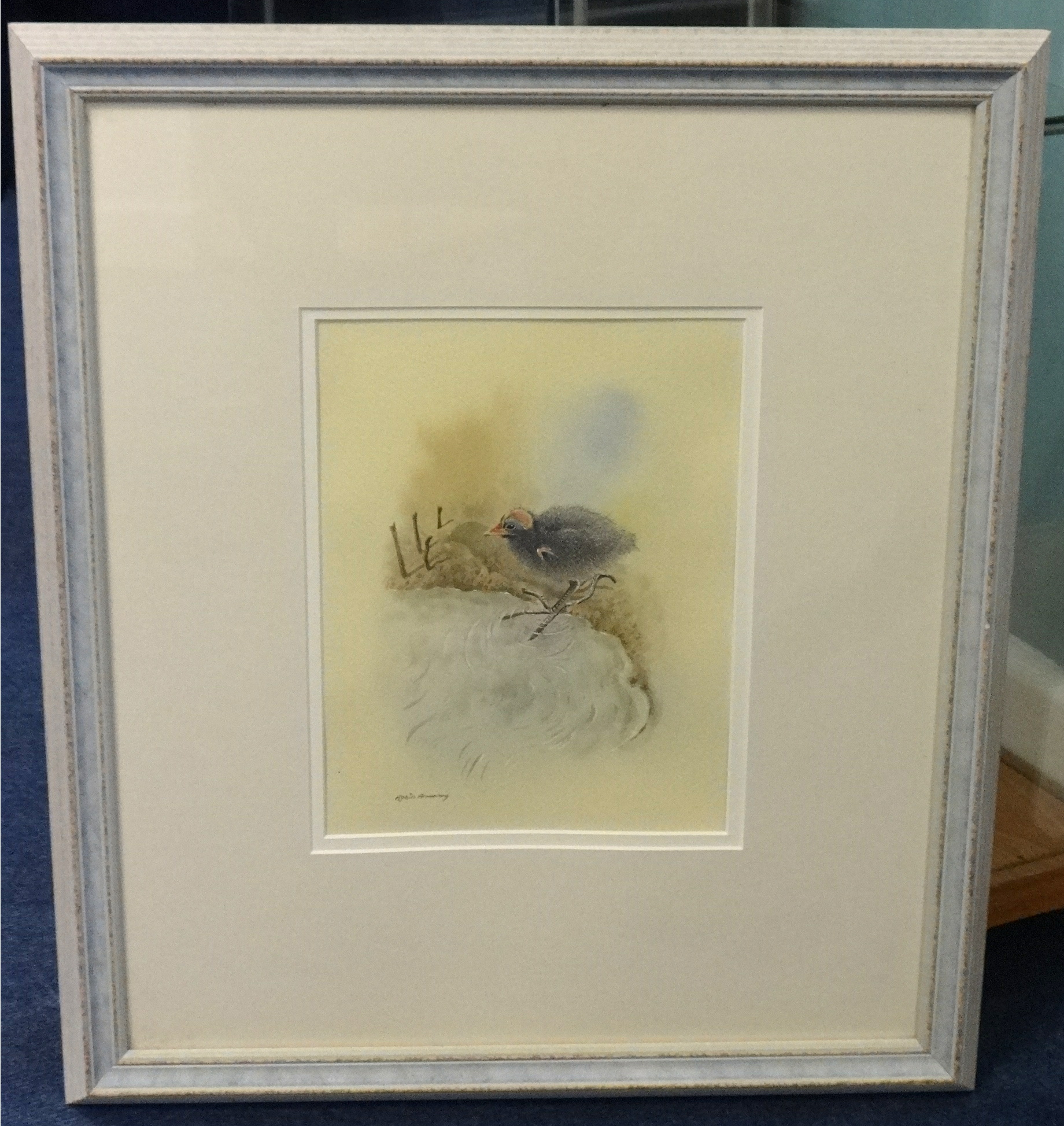 ROBIN ARMSTRONG watercolour 'Study of a Bird', signed 24cm x 18cm - Image 4 of 4