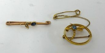 A 15ct gold dragon fly brooch set with a single sapphire and another brooch of similar style (2).