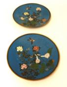 A pair of Cloisonné plates decorated with a Swift and bright flowers.