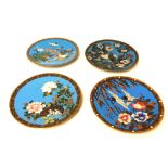 Four Cloisonné plates each decorated with exotic birds.