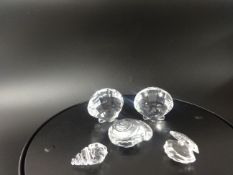 Swarovski Crystal glass Various Seashells (5).
