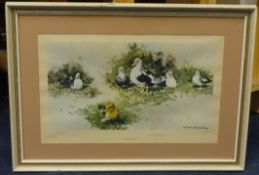 David Shepherd OBE (b.1931) Muscovy Ducks, photographic reproduction, signed in pencil and