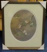 David Andrews - Five bird prints, in oval mounts, framed and glazed, 38cm x 33cm (including frame).
