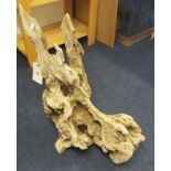 A large piece of olive wood drift wood, height 80cm.