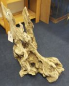 A large piece of olive wood drift wood, height 80cm.