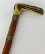 A sword stick with Malacca cane and horn type handle