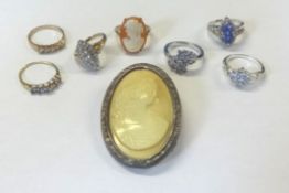 Three silver rings, four gold rings and a brooch.