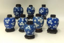A collection of eight Chinese Prunus jars with wood covers Kangxi period, the porcelain 13cm max