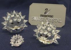 Swarovski Crystal 3 x Whiskered Hedgehogs – Large, Medium and Replica