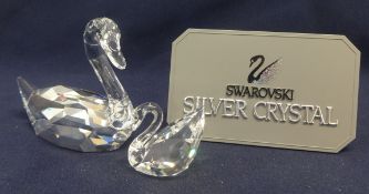 Swarovski Crystal Flirting Swan and Small Renewal Swan