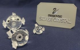 Swarovski Crystal 3 x Blowfish Large, Medium and Small