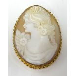 A large cameo brooch, height 64cm.