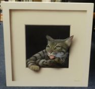 Alan Weston, signed oil on board, 'Cat with Tongue Out', 35.5cm x 35.5cm.