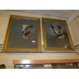 PAIR OF PASTEL PORTRAITS OF DOGS (BOTH SIGNED LOWER RIGHT)