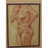 Study of nude woman in red and white chalk on paper, unsigned, (24cm x 17.5cm), framed and glazed,