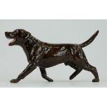 Beswick Labrador walking 3062B, limited edition BCC special,