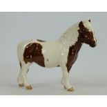 Beswick Pony Hollydell Dixie H185, limited edition BCC, boxed.
