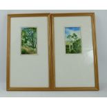 A pair of watercolour paintings of landscapes by James Elliot Butler 1986 in wood frames ,