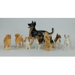 A collection of Beswick dogs including Alsatian 3073, Beagle 1939, retriever 1855,