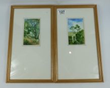 A pair of watercolour paintings of landscapes by James Elliot Butler 1986 in wood frames ,