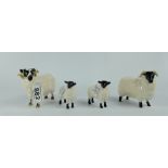 Beswick Black Faced Ram 3071, Ewe 1763,