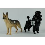 Beswick figures of a Black Poodle 2359 and an Alsatian 969 (matt) (2)