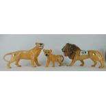 Beswick Lion family comprising Lion 2089 ,