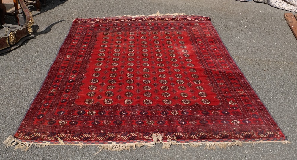 Large decorative carpet in red (wear to tassels) approx 2.