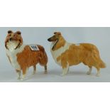 Beswick Collie 1791 in both gloss and matt (2)