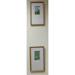 A pair of watercolour paintings of landscapes by James Elliot Butler 1986 in wood frames ,