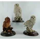 Country Artist figure Snowy Owl, larger