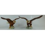 Beswick Bald Eagle 1018 in both gloss an