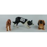 Royal Doulton Cocker Spaniel HN1199, Bor