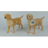 Beswick Labrador 1548 and matt Labrador